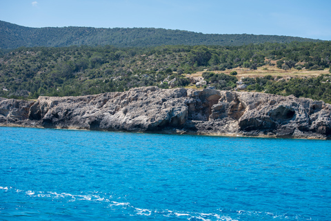 Paphos: Blue Lagoon halve dag boottocht met hoteltransfer
