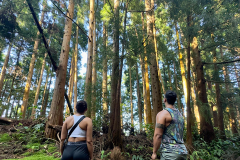 Avventura privata in jeep 4x4 a São Miguel - Tour personalizzato