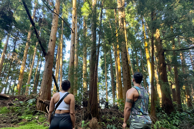 Avventura privata in jeep 4x4 a São Miguel - Tour personalizzato