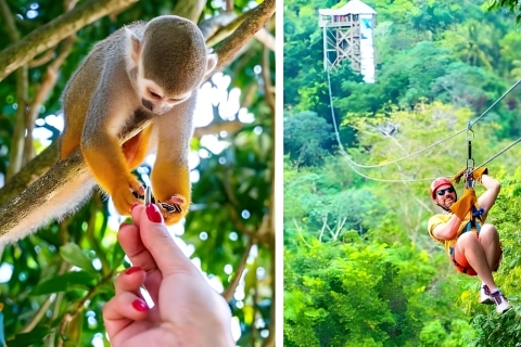 Monkeyland And Zip Lines Whit local Pick Up monos 3