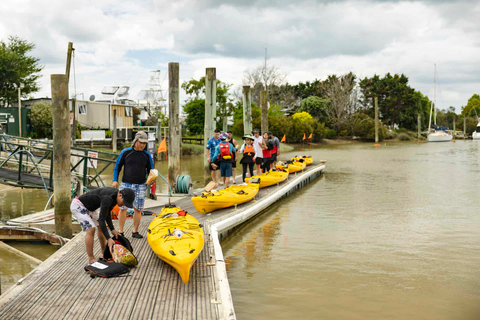 Hallertau Clevedon Kayak Tour