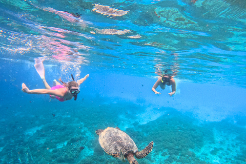Shared 3 Gili Islands Snorkeling Tour with Turtles & Reefs