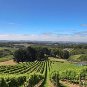 Barossa Valley Gourmet Food & Wine Tour