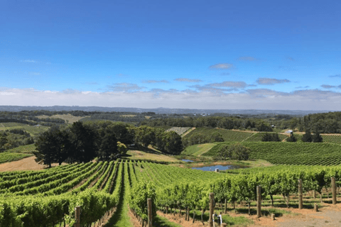 Barossa Valley: Gourmet Food &amp; Wine Tour med ostprovning