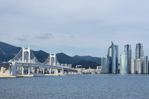 Busan private tourChinese speaking tour guide