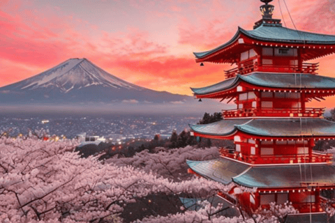 From Tokyo: Mount Fuji Full Day Customizable Private Tour