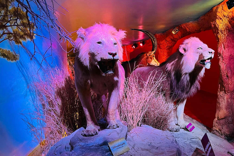 TOUR: "Dinosaur museum" with guide, transfer and tickets Monterrey: Desert Museum Tour