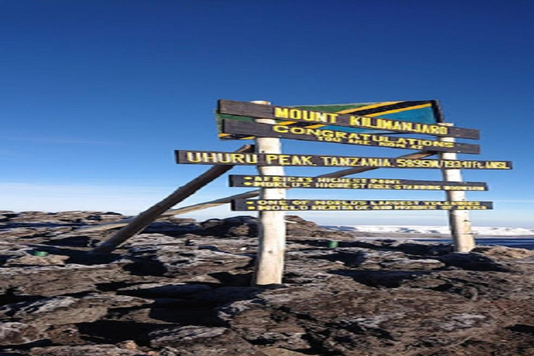 Los mejores 6 días de escalada en la Ruta Lemosho