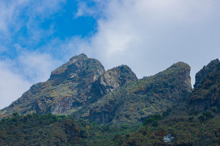 From Kampala: 6-Day Gorillas, Chimpanzees and Rwenzori Tour