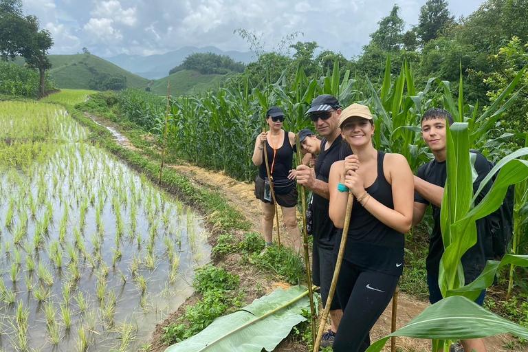 Chiang Rai Trek: 4 Hilltribes Villages & Waterfall Only Walk
