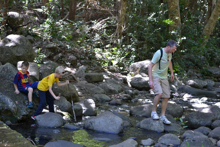 Mauritius nationalpark: Upptäck ön som den en gång var