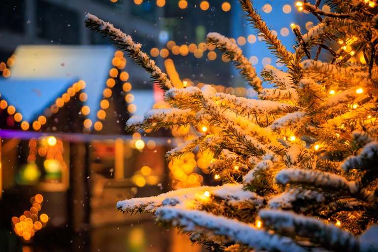 Zurich Christmas Market & Old Town Food Experience