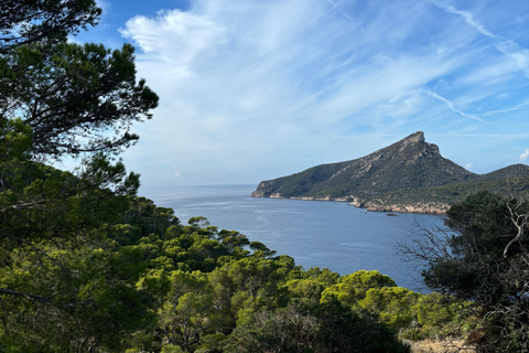 Serra Tramuntana: unvergessliche leichte Wanderung mit schönen Aussichten