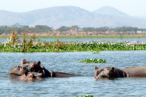 1 dag Lake Nakuru National Park från Nairobi med båtresa