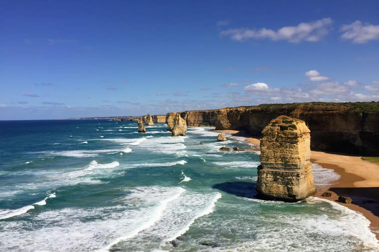 Great Ocean Road Boutique Minibus Reverse Tour & 12 Apostles Minibus Meeting Point Pickup (Max 23 Guests)