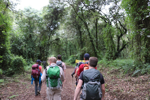 Dagsutflykt till Kilimanjaro nationalpark