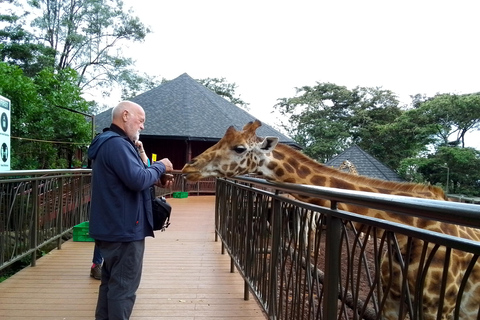 Nairobi Safari walk, Giraffe center, Karen Blixen & Bomas