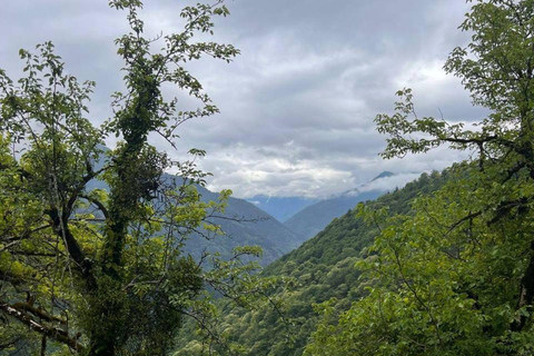 Discover Ajarian mountains with a flavor of wine