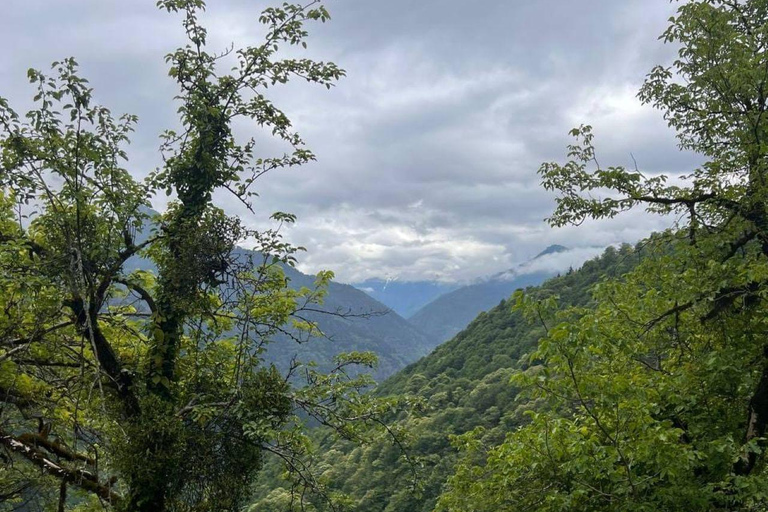 Discover Ajarian mountains with a flavor of wine