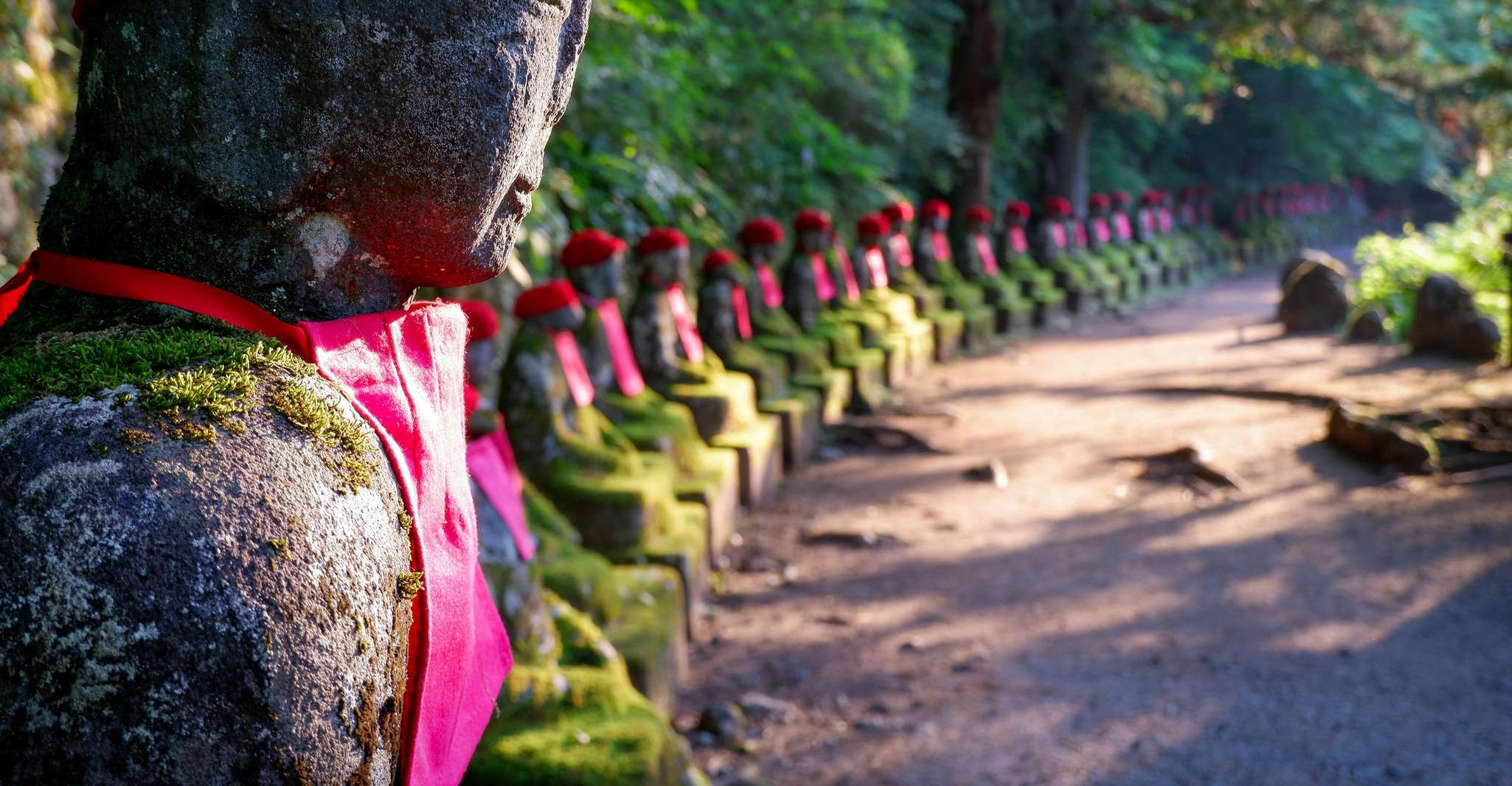 Excursión privada de día completo a Nikko - Hizvo