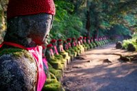 Excursión privada de día completo a Nikko - Hizvo