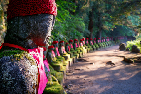 Da Tokyo: Escursione privata di una giornata intera a NikkoTour privato di un giorno di Nikko con visita panoramica di un giorno intero