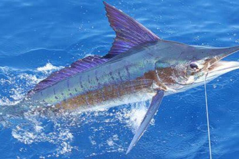 Zanzibar Big Game Fishing Adventure with Private Boat From Nungwi/Kendwa Tour with Meeting point + Entry ticket