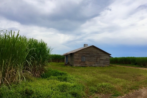 Nowy Orlean: Destrehan Plantation & Airboat Combo TourOpcja standardowa