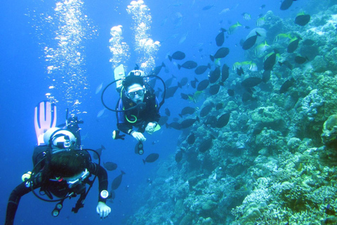 Mactan: PADI Open Water Diver Certification Course