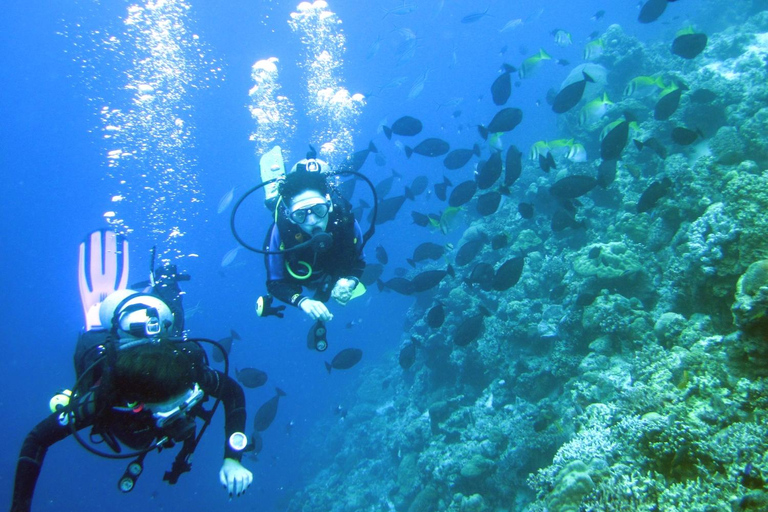 Mactan: PADI Open Water Diver Certification Course