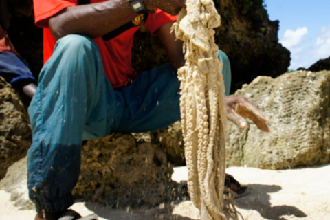 Pemba Island: Mjini Ole Village Tour with lunch