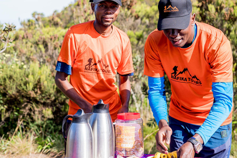 Kilimanjaro: Caminhada de 6 dias na Rota Machame com transfer do aeroporto