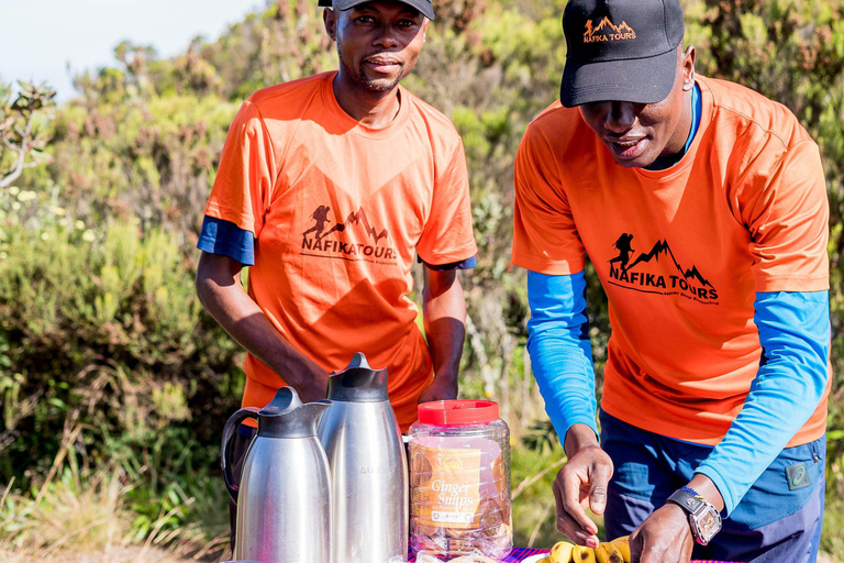 Kilimanjaro: Caminhada de 6 dias na Rota Machame com transfer do aeroporto