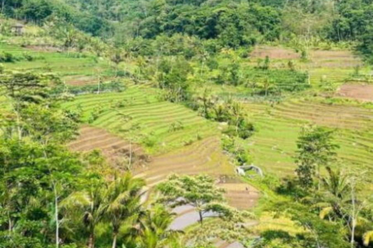Yogyakarta Selogriyo Trek & Borobudur Drone Adventure