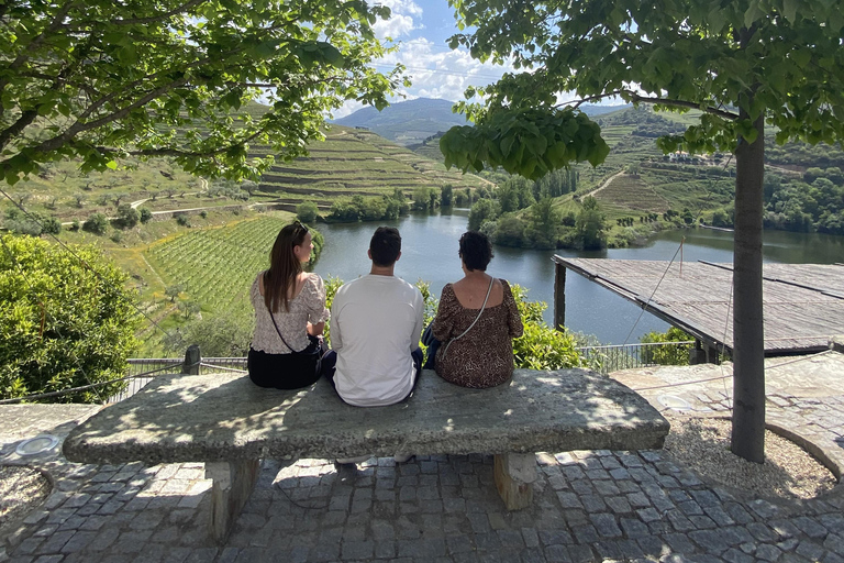 From Porto: 2 Boutique Wineries w/ Winery Lunch & 1-h cruise Tour in English