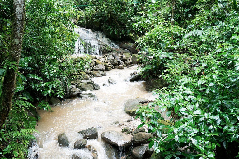 Le pays des merveilles de la faune - la réserve Alto Mayo de Tarapoto