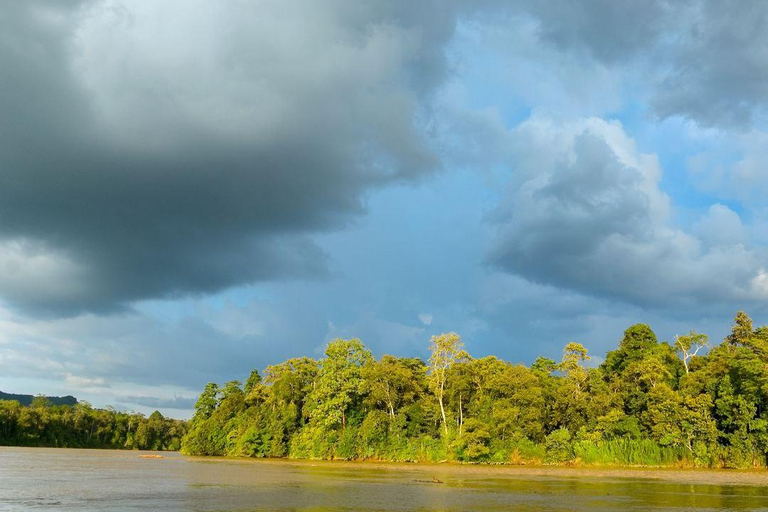 Sandakan : 3-Day Kinabatangan River Wildlife Adventure (Shared Tour) 3 Day 2 Night At Kinabatangan River