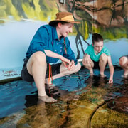 Darwin: Whipray Encounter with Entry to Crocosaurus Cove Darwin: Whipray Encounter with Entry to Crocosaurus Cove