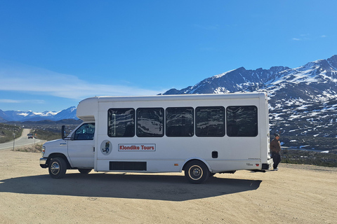 From Skagway: White Pass Summit Guided Bus Tour