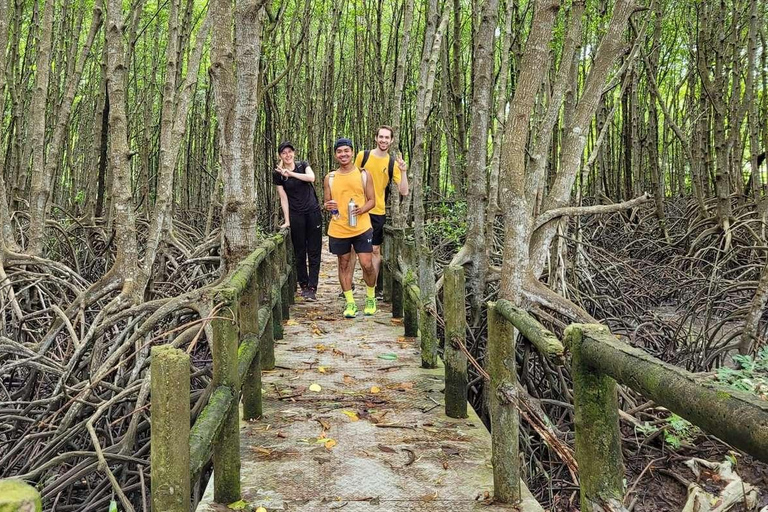 Tour di un giorno della Foresta delle Mangrovie e dell&#039;Isola delle Scimmie di Can Gio