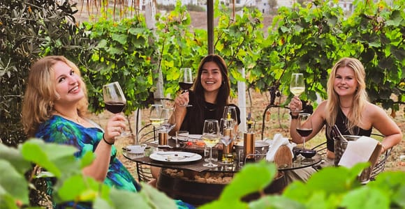 Weinberge in der Umgebung von Durres – Wein- und Verkostungstour