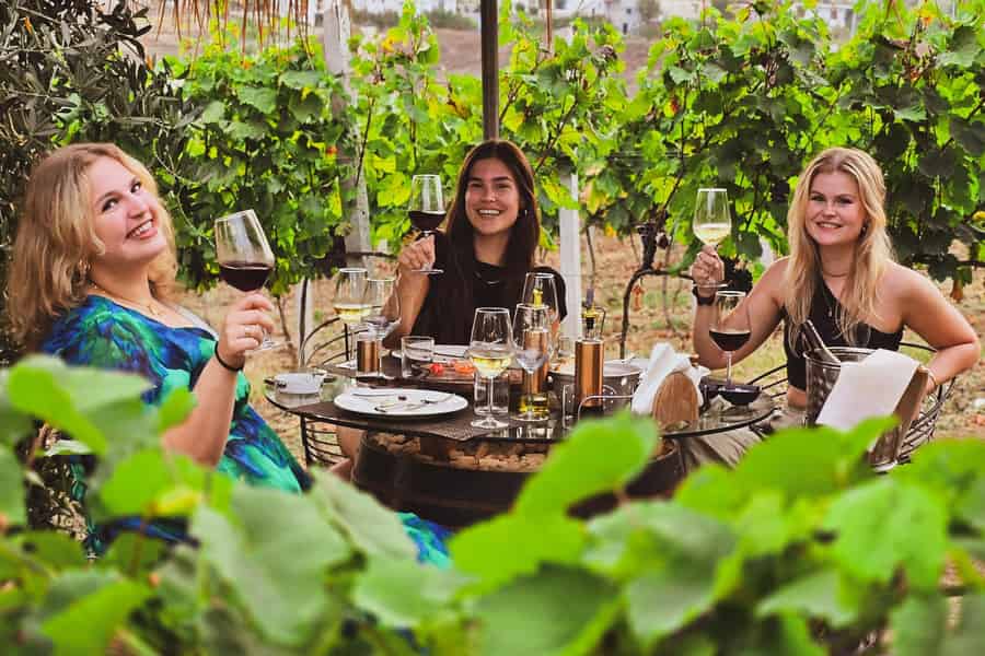 Weinprobe & Essen auf den Weinbergen von Durres. Foto: GetYourGuide Weinprobe & Essen auf den Weinbergen von Durres. Foto: GetYourGuide