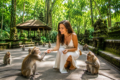 Bali: Monkey Forest, & Temple, With Waterfall, Swing Tour Private Tour Entry Ticket
