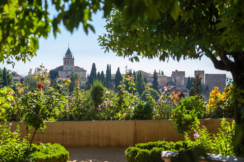Alhambra: complete tour with Nasrid Palaces, official tour guide, and tickets Tour in English