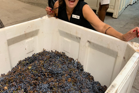 San Antonio: Fredericksburg Wineries Day Trip with Tastings Tour in English