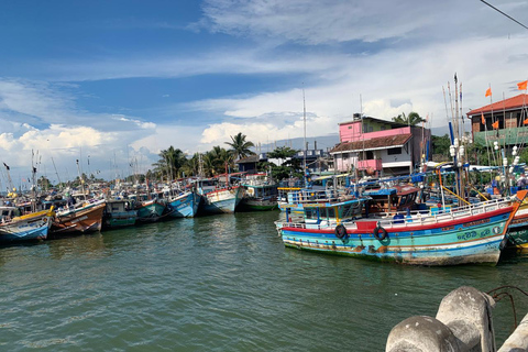Colombo: Negombo Cultural Photo Tour with Local Lunch