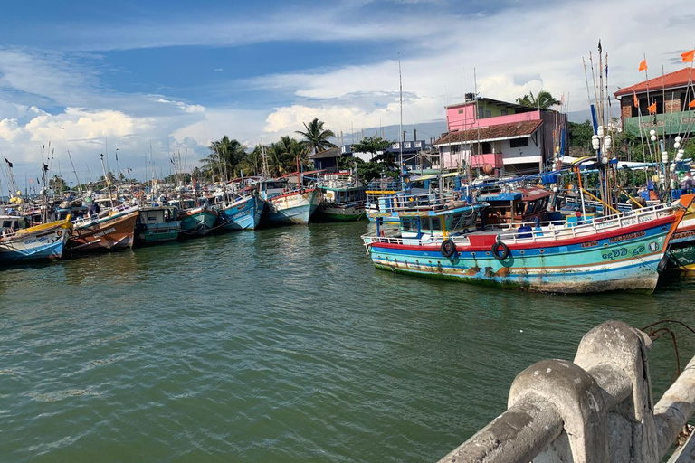 Colombo: Negombo Cultural Photo Tour with Local Lunch