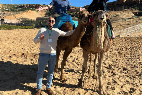 Explore Tangier: Guided City Tour and Seaside Camel Ride Pick up from the cruise terminal