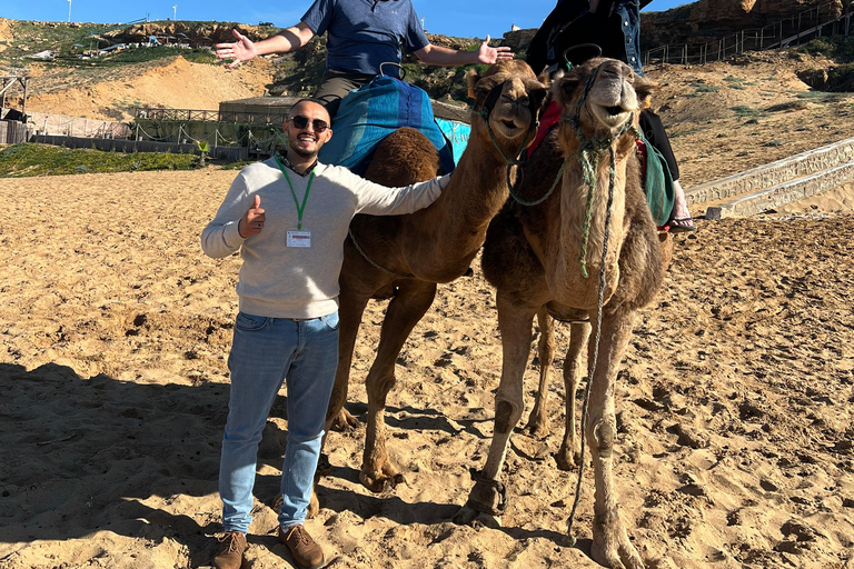 Explore Tangier: Guided City Tour and Seaside Camel Ride Pick up from the cruise terminal
