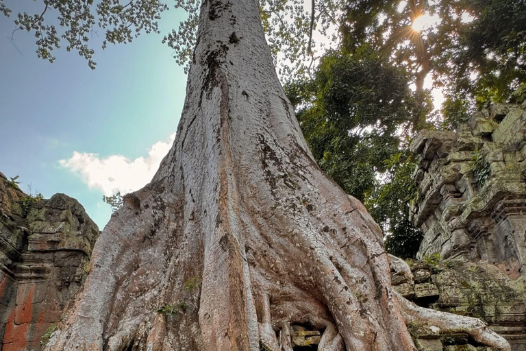 Siem Reap: Personalized Angkor Wat Private Guided Tour 3 Hours–Angkor Wat Focus with Sunrise